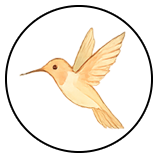 みんふる Personal